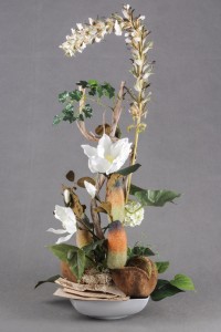 Magnolia